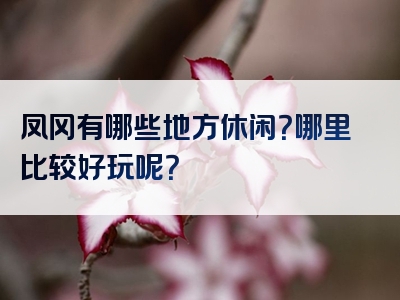 凤冈有哪些地方休闲？哪里比较好玩呢？