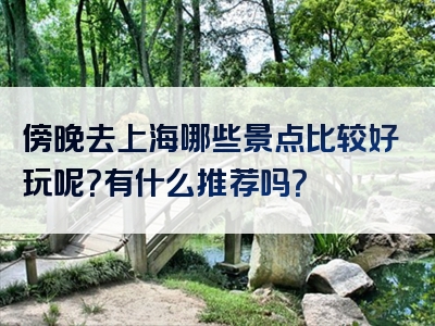 傍晚去上海哪些景点比较好玩呢？有什么推荐吗？