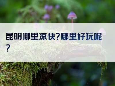 昆明哪里凉快？哪里好玩呢？