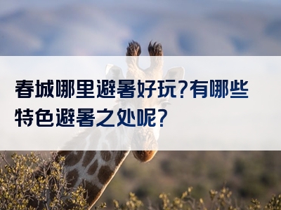 春城哪里避暑好玩？有哪些特色避暑之处呢？