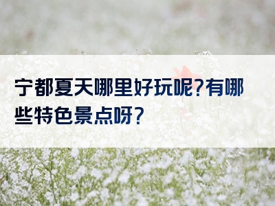 宁都夏天哪里好玩呢？有哪些特色景点呀？