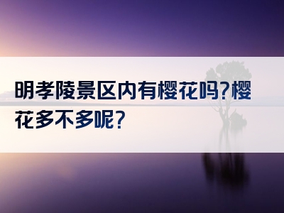 明孝陵景区内有樱花吗？樱花多不多呢？