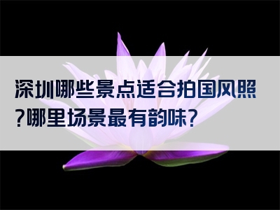 深圳哪些景点适合拍国风照？哪里场景最有韵味？