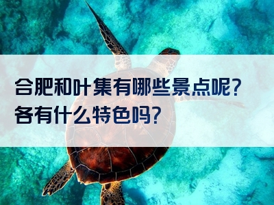 合肥和叶集有哪些景点呢？各有什么特色吗？