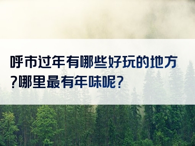 呼市过年有哪些好玩的地方？哪里最有年味呢？
