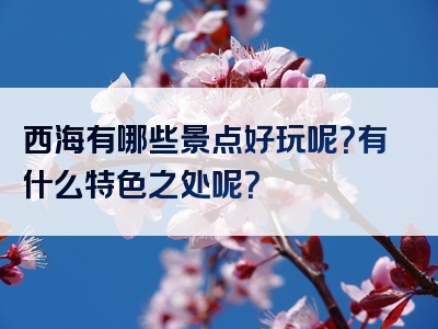 西海有哪些景点好玩呢？有什么特色之处呢？
