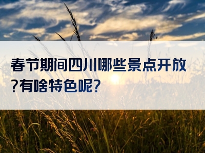 春节期间四川哪些景点开放？有啥特色呢？