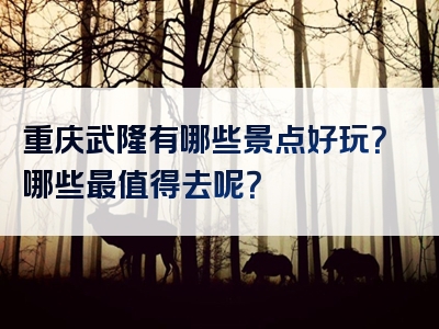 重庆武隆有哪些景点好玩？哪些最值得去呢？