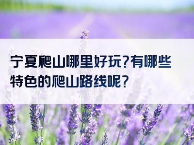 宁夏爬山哪里好玩？有哪些特色的爬山路线呢？