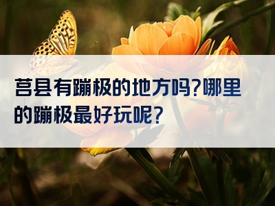 莒县有蹦极的地方吗？哪里的蹦极最好玩呢？