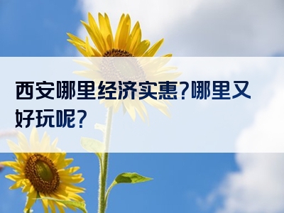 西安哪里经济实惠？哪里又好玩呢？