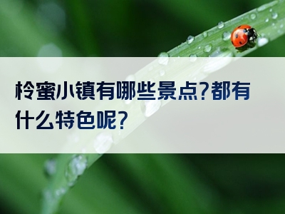 柃蜜小镇有哪些景点？都有什么特色呢？