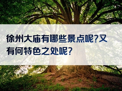 徐州大庙有哪些景点呢？又有何特色之处呢？