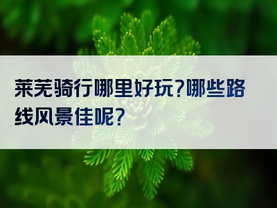 莱芜骑行哪里好玩？哪些路线风景佳呢？