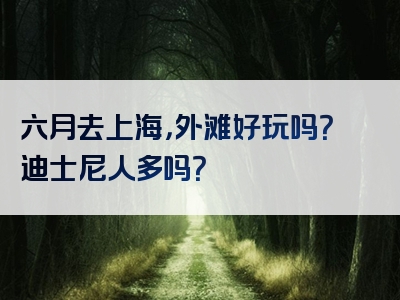 六月去上海，外滩好玩吗？迪士尼人多吗？