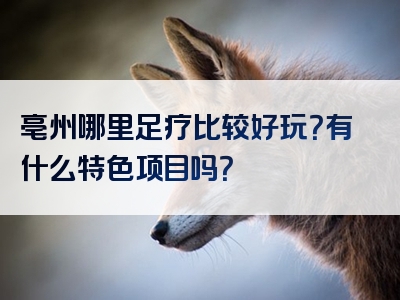 亳州哪里足疗比较好玩？有什么特色项目吗？