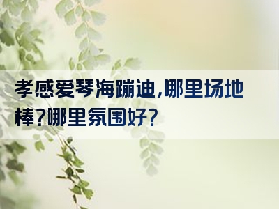 孝感爱琴海蹦迪，哪里场地棒？哪里氛围好？