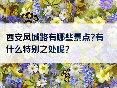 西安凤城路有哪些景点？有什么特别之处呢？
