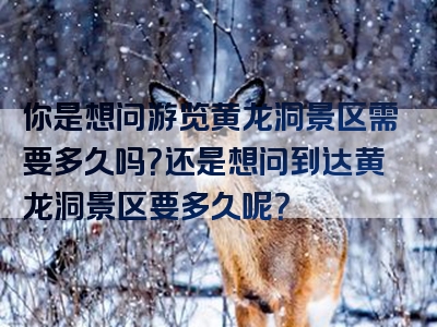 你是想问游览黄龙洞景区需要多久吗？还是想问到达黄龙洞景区要多久呢？