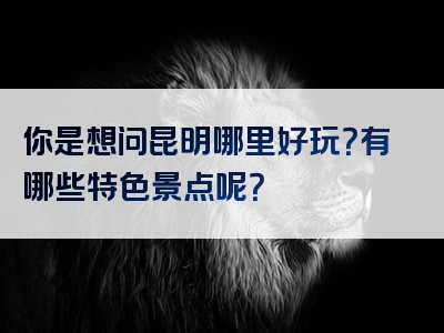 你是想问昆明哪里好玩？有哪些特色景点呢？