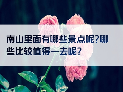 南山里面有哪些景点呢？哪些比较值得一去呢？