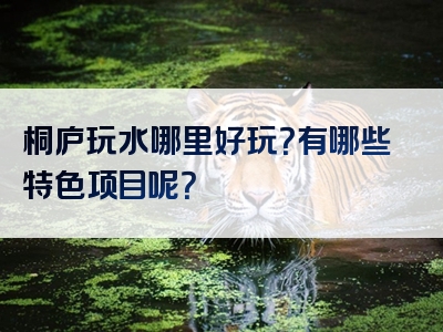 桐庐玩水哪里好玩？有哪些特色项目呢？