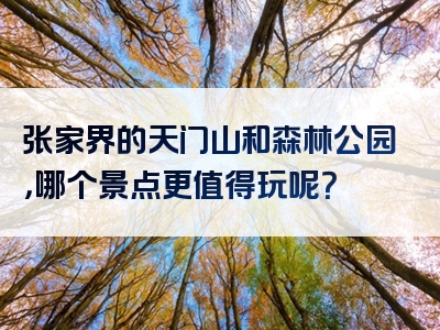 张家界的天门山和森林公园，哪个景点更值得玩呢？