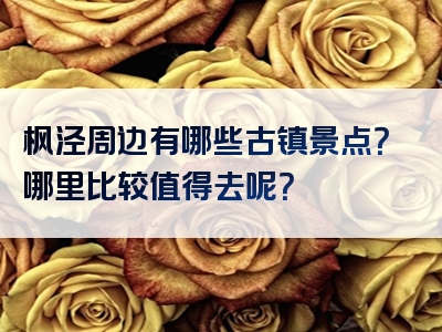 枫泾周边有哪些古镇景点？哪里比较值得去呢？