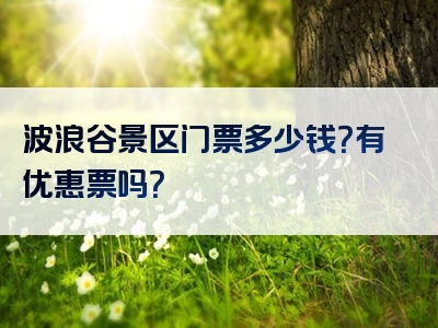 波浪谷景区门票多少钱？有优惠票吗？