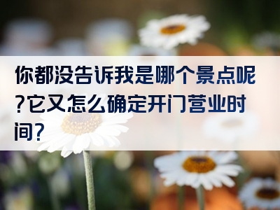 你都没告诉我是哪个景点呢？它又怎么确定开门营业时间？