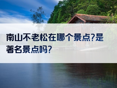 南山不老松在哪个景点？是著名景点吗？