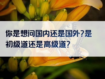你是想问国内还是国外？是初级道还是高级道？
