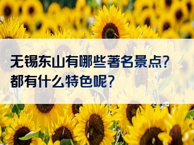 无锡东山有哪些著名景点？都有什么特色呢？