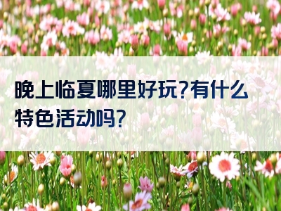 晚上临夏哪里好玩？有什么特色活动吗？