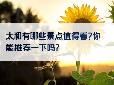太和有哪些景点值得看？你能推荐一下吗？