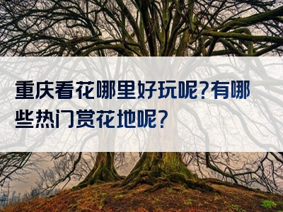 重庆看花哪里好玩呢？有哪些热门赏花地呢？
