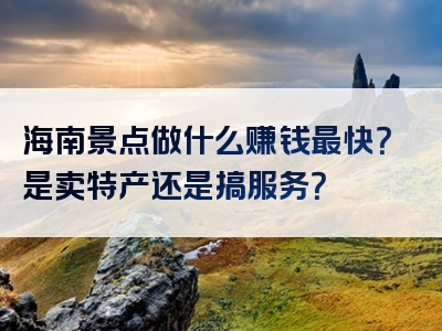 海南景点做什么赚钱最快？是卖特产还是搞服务？