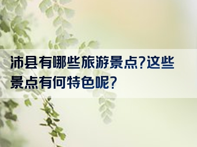 沛县有哪些旅游景点？这些景点有何特色呢？