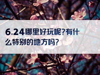 6.24哪里好玩呢？有什么特别的地方吗？