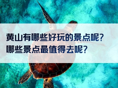 黄山有哪些好玩的景点呢？哪些景点最值得去呢？