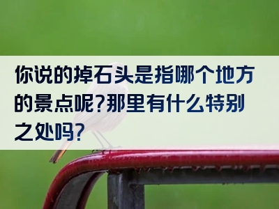 你说的掉石头是指哪个地方的景点呢？那里有什么特别之处吗？