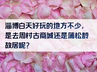 淄博白天好玩的地方不少，是去周村古商城还是蒲松龄故居呢？