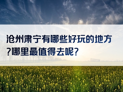 沧州肃宁有哪些好玩的地方？哪里最值得去呢？
