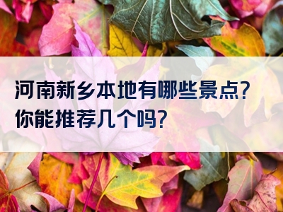 河南新乡本地有哪些景点？你能推荐几个吗？