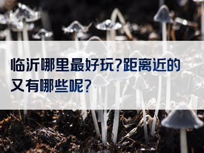 临沂哪里最好玩？距离近的又有哪些呢？