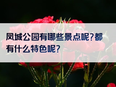 凤城公园有哪些景点呢？都有什么特色呢？