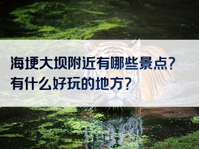 海埂大坝附近有哪些景点？有什么好玩的地方？