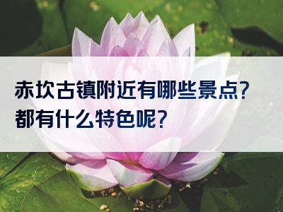 赤坎古镇附近有哪些景点？都有什么特色呢？