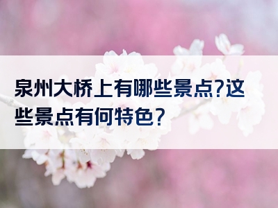 泉州大桥上有哪些景点？这些景点有何特色？