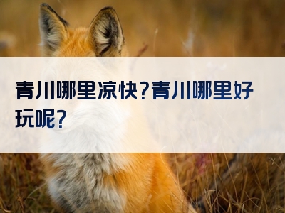 青川哪里凉快？青川哪里好玩呢？